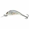 SALMO Hornet Sinking / Real Dace / 2.5cm / 1.5gr 1 SALMO Hornet Sinking / Real Dace / 2.5cm / 1.5gr -Viskleding Verkoop salmo hornet sinking real dace 25cm 15gr qht008 pluggen
