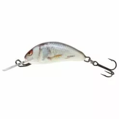 SALMO Hornet Sinking / Real Dace / 2.5cm / 1.5gr