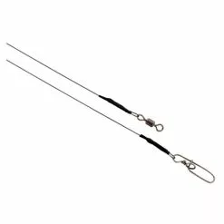 WESTIN ADD - IT Leaders 1 X 19