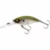WESTIN BuzzBite Crankbait Suspending 3D Green Ghost 6cm / 10gr 1 WESTIN BuzzBite Crankbait Suspending 3D Green Ghost 6cm / 10gr -Viskleding Verkoop westin buzzbite crankbait suspending 3d green ghost 6cm 10gr p145 421 001 pluggen